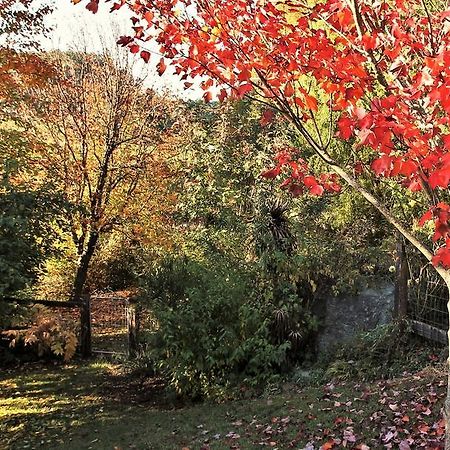 Mole Creek Guesthouse Экстерьер фото