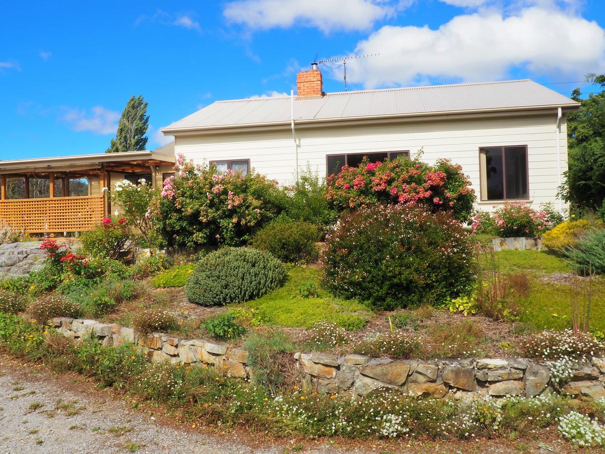 Mole Creek Guesthouse Экстерьер фото