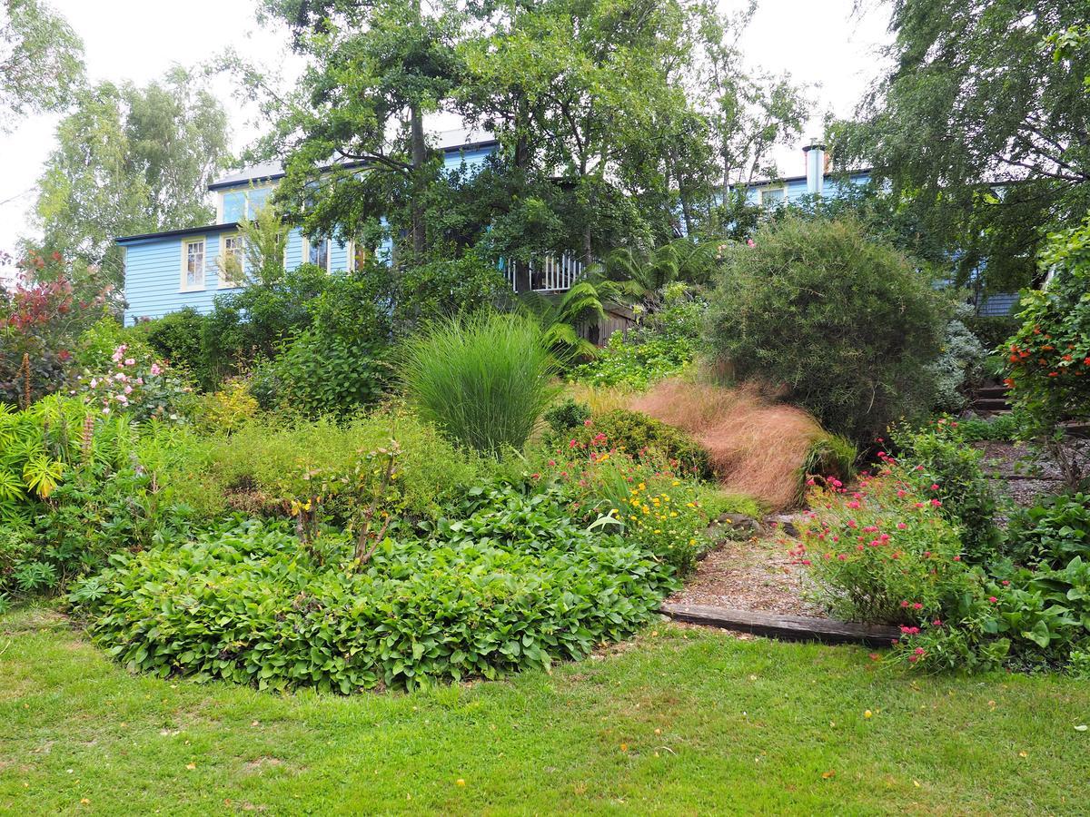Mole Creek Guesthouse Экстерьер фото