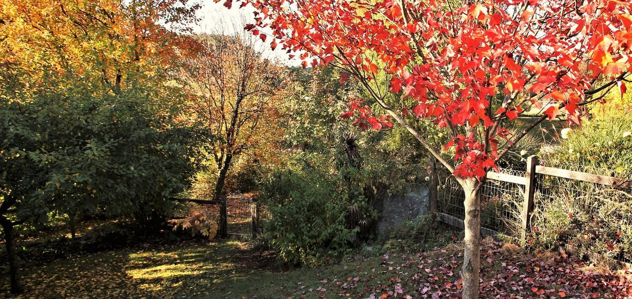 Mole Creek Guesthouse Экстерьер фото